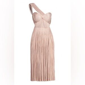 Maria Lucia Hohan Iman Gown Pink Petite Size